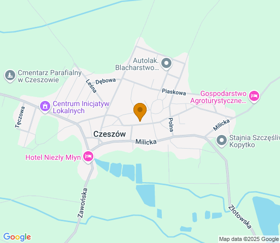 Mapa dojazdu do warsztatu samochodowego w miejscowości Czeszów