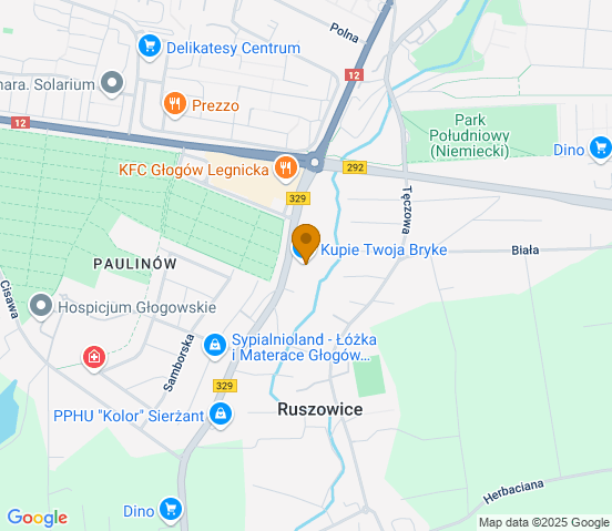 Mapa dojazdu do warsztatu samochodowego w miejscowości Rukoszowice