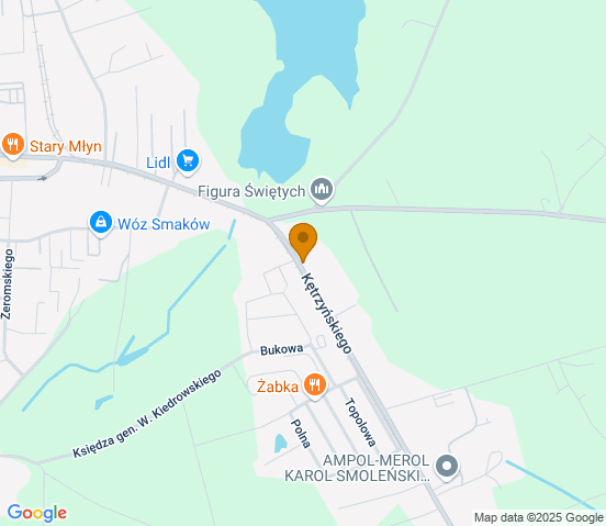 Mapa dojazdu do warsztatu samochodowego w miejscowości Wąbrzeźno