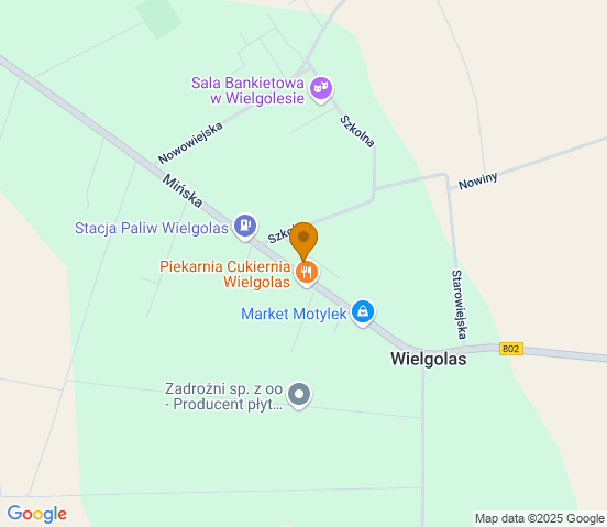 Mapa dojazdu do warsztatu samochodowego w miejscowości Wielgolas