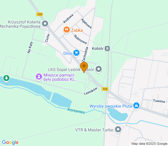Mapa dojazdu do warsztatu samochodowego w miejscowości Kobiór