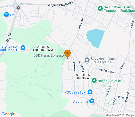 Mapa dojazdu do warsztatu samochodowego w miejscowości Świętochłowice