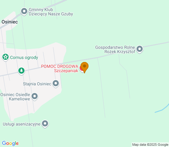 Mapa dojazdu do warsztatu samochodowego w miejscowości Gniezno