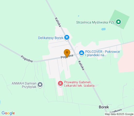 Mapa dojazdu do warsztatu samochodowego w miejscowości Godziesze Małe