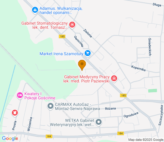 Mapa dojazdu do warsztatu samochodowego w miejscowości Szamotuły